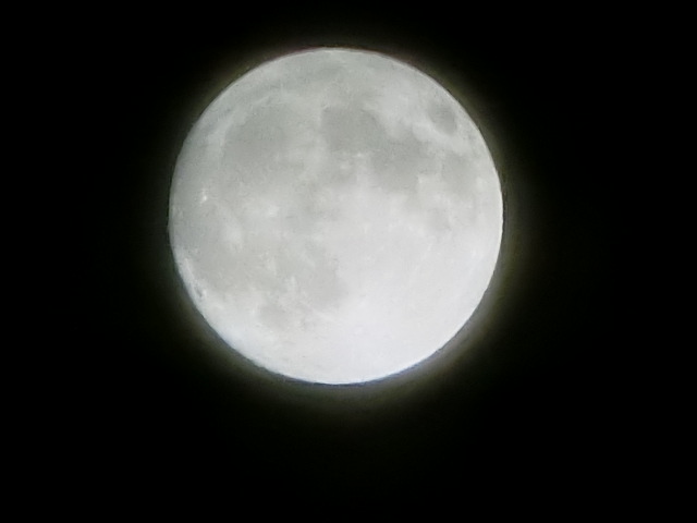 お月見　だんご　きれいな月　和歌山県海南市
