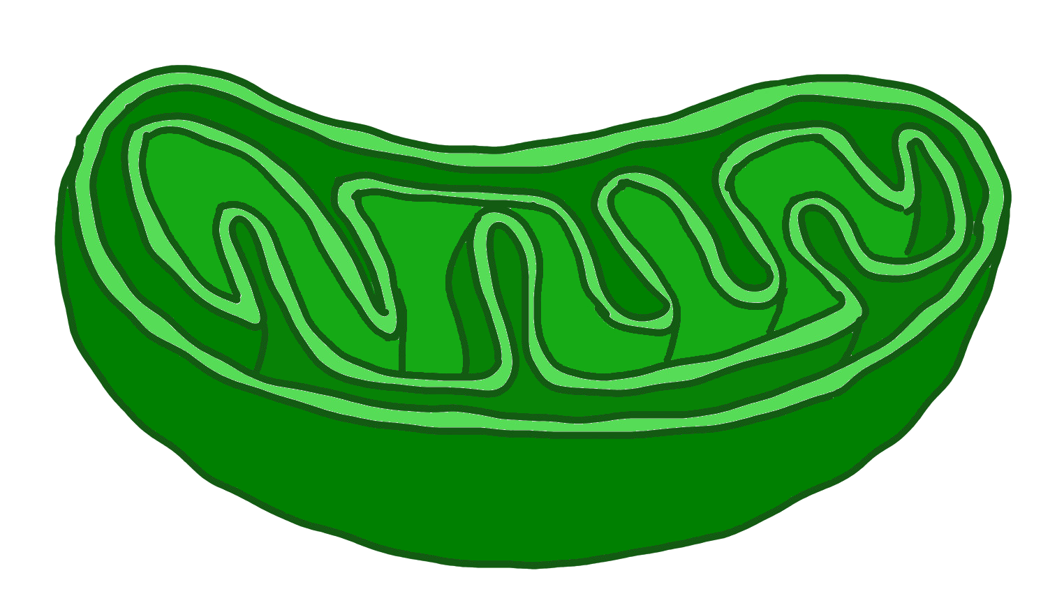 季節の変わり目体調変化　自律神経　海南市　